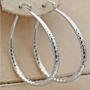 Sparkling Silver Oval Hoop Earrings